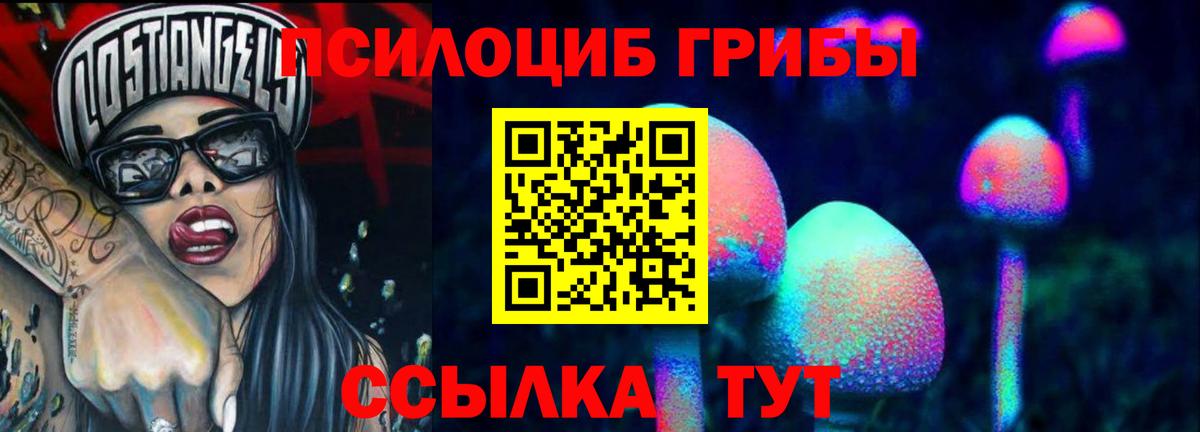Красноуфимск  что такое   Вход с VPN  Галлюциногенные грибы мицелий 